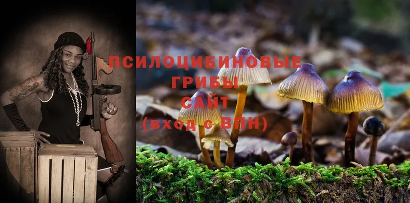 Псилоцибиновые грибы Magic Shrooms  Ковылкино 